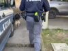 Tor Bella Monaca, doppio sistema dello spaccio smantellato: 11 arresti Tor Bella Monaca, doppio sistema dello spaccio smantellato: 11 arresti